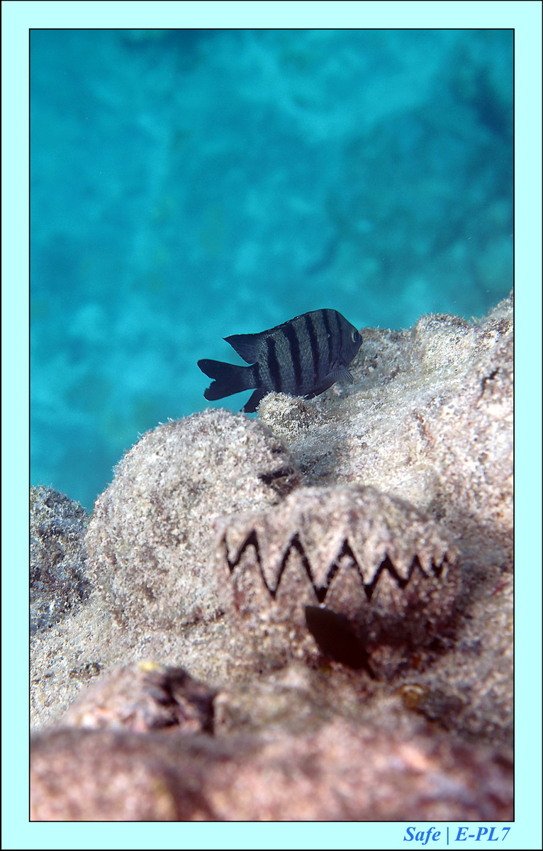 2016 - 07 - Leng Tengah - 055